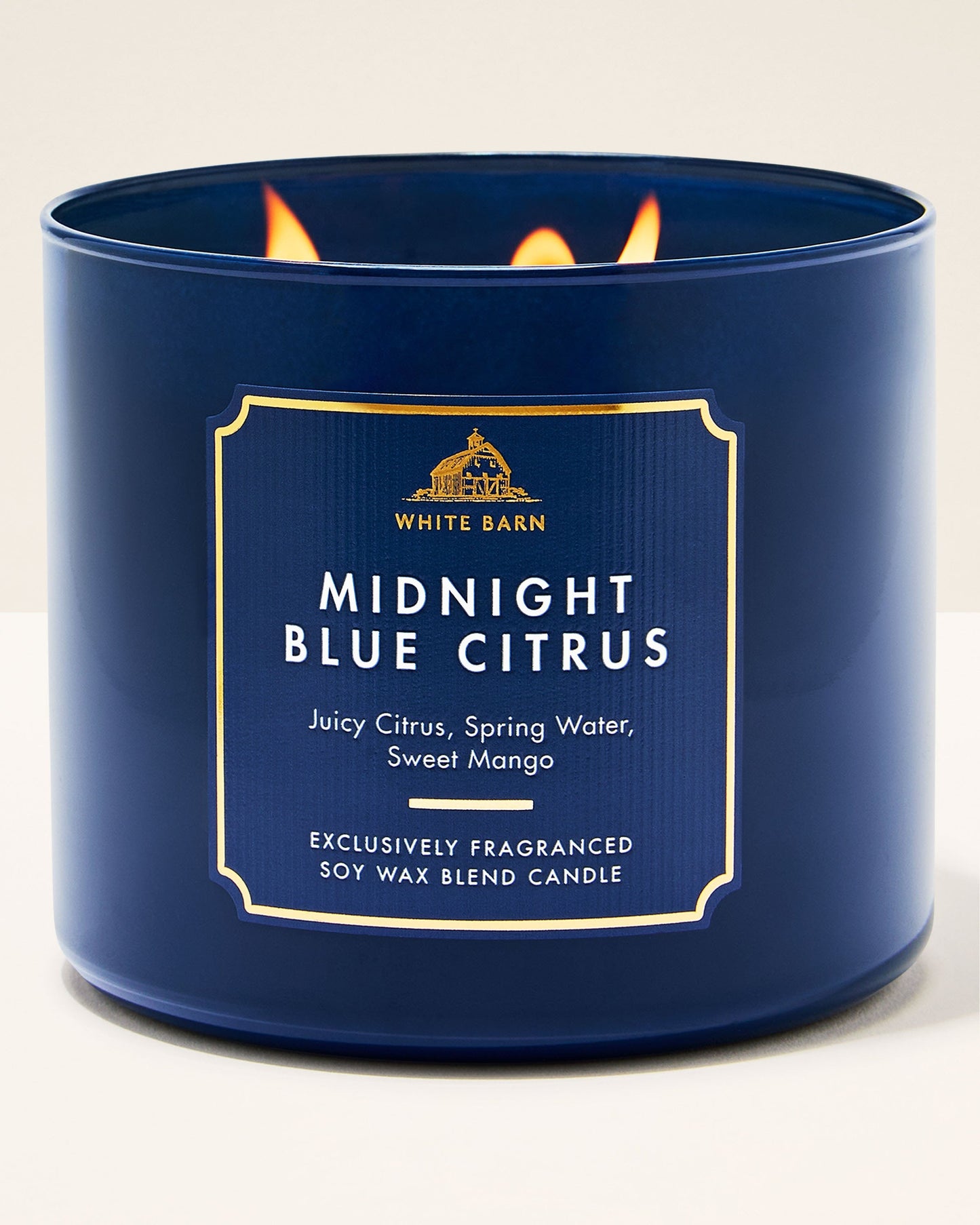Vela 3 mechas Midnight Blue Citrus